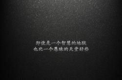 开云体育APP下载-阿坎吉的统治时刻，威尔士与厄瓜多尔之战，一位中卫如何定义比赛