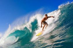 开云平台-封锁与跨越，从塞维利亚的战术铁幕到德甲争冠战，劳塔罗的征服之路