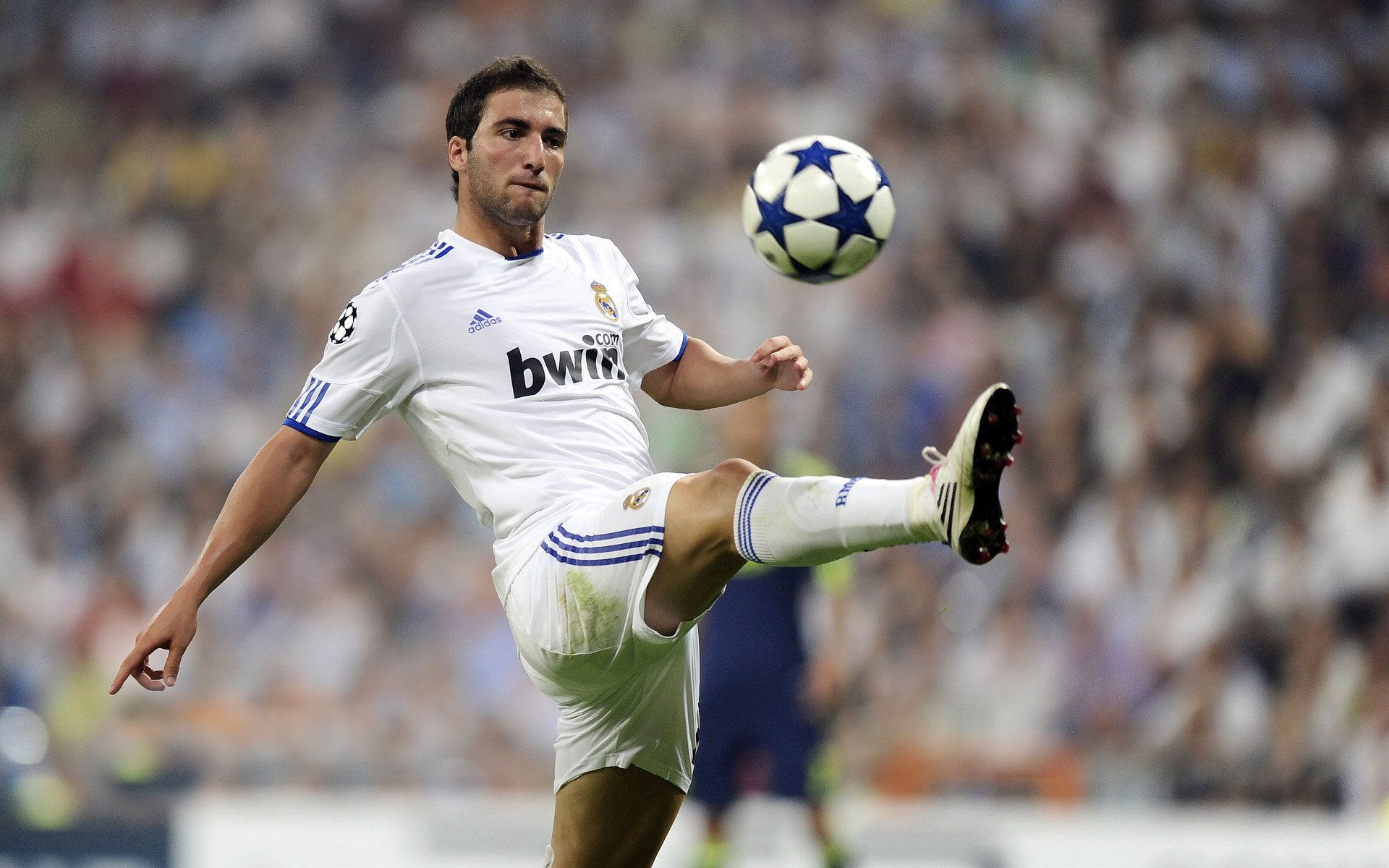 赛道上的终章,布鲁诺如何让F1年度争冠之夜提前落幕