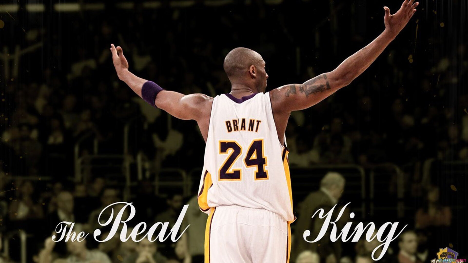 年终总决赛险胜澳网，蒂姆统治全场的战术革命